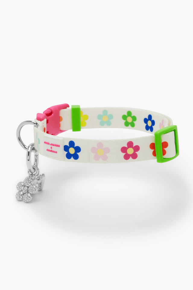 maxbone Dog Carriers, Beds and Apparel: A Buyer's Guide