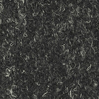Hudsonia Carbon