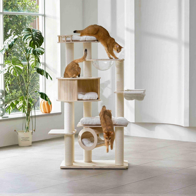 Michu Lumi Multi-Layer Solid Wood Cat Nest Tree