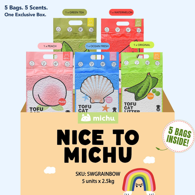 MICHU Bagel Wide Shallow Ceramic Cat Bowl