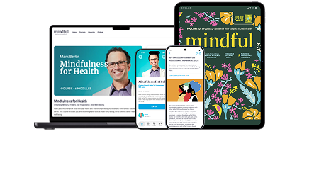 Mindful Subscription
