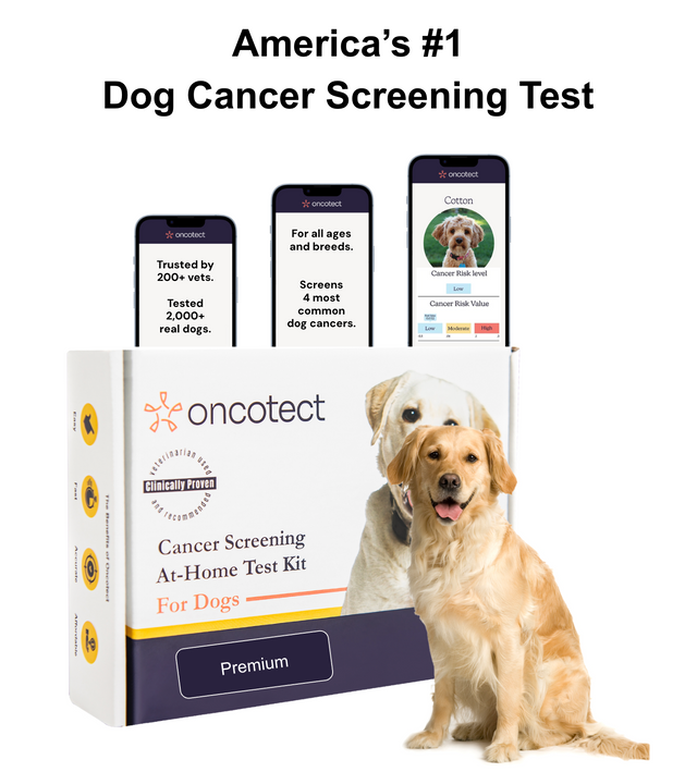 Dog Cancer Screening Test (Premium)
