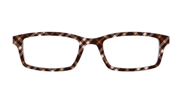 The Rustic Plaid