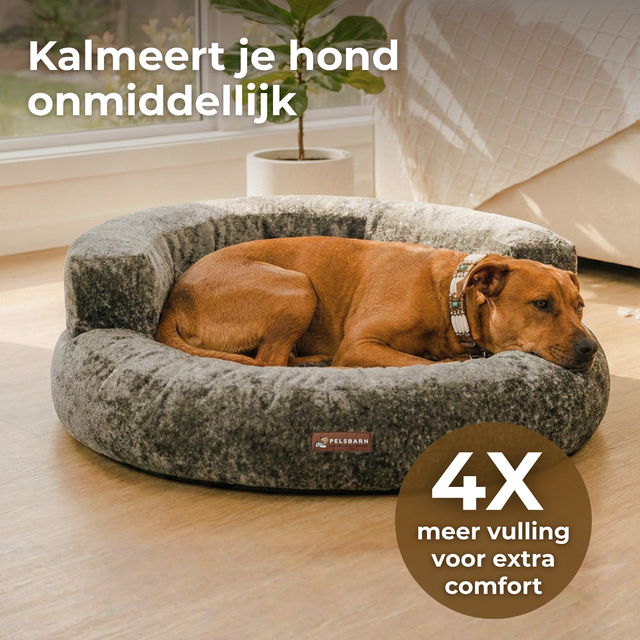 Cloud Velvet Lounge Bed