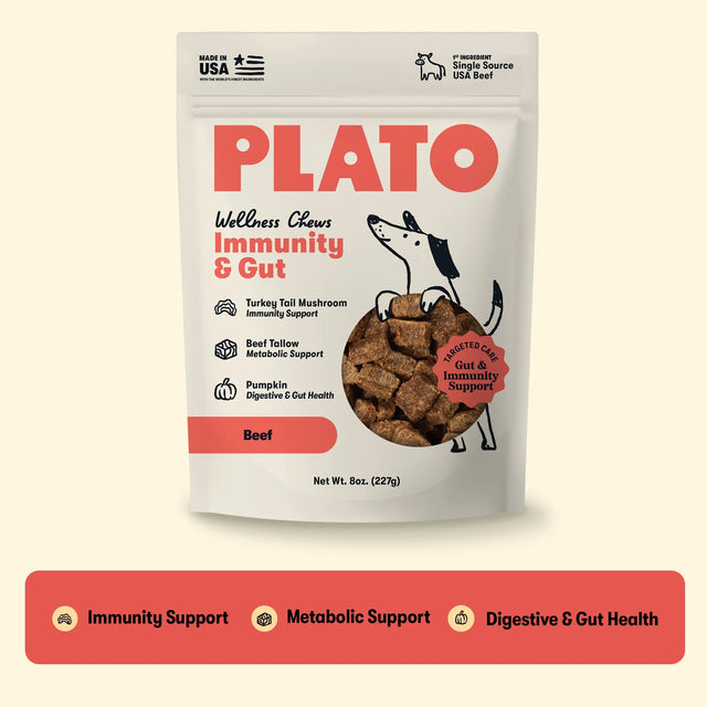 Wellness Chews Immunity & Gut