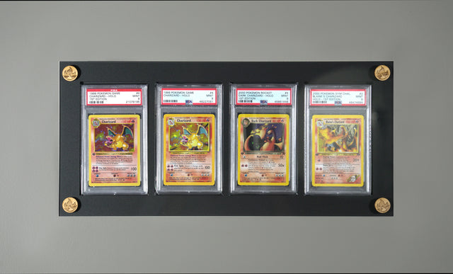 4 Slot PSA Display - UV Protected