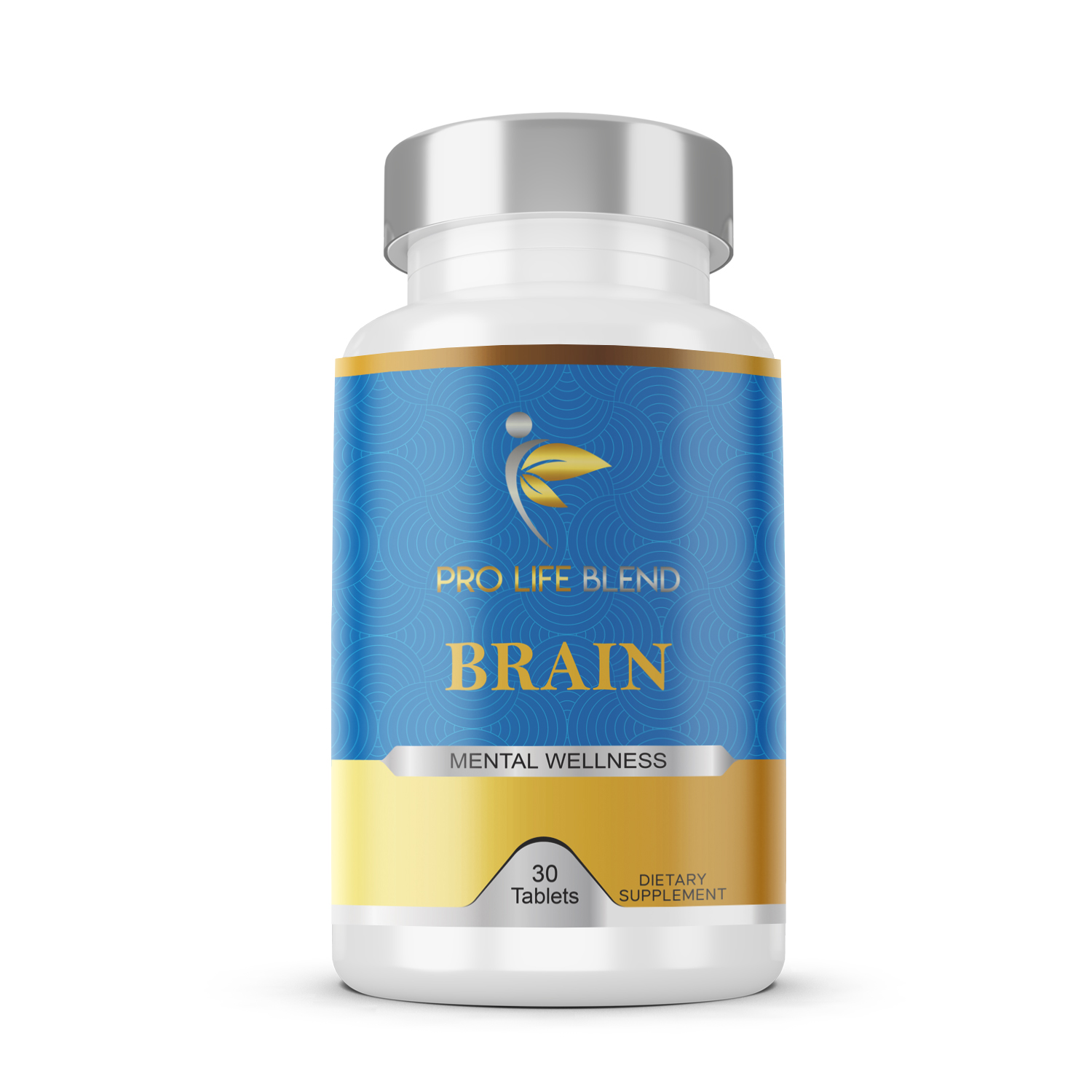 Brain