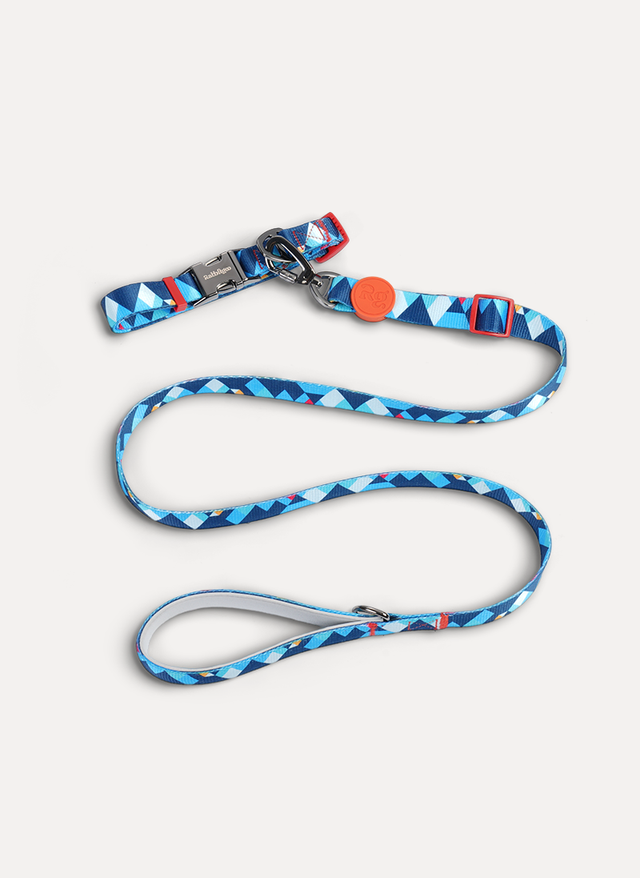 Freeline Y Series Blue Horizon Dog Collar Set