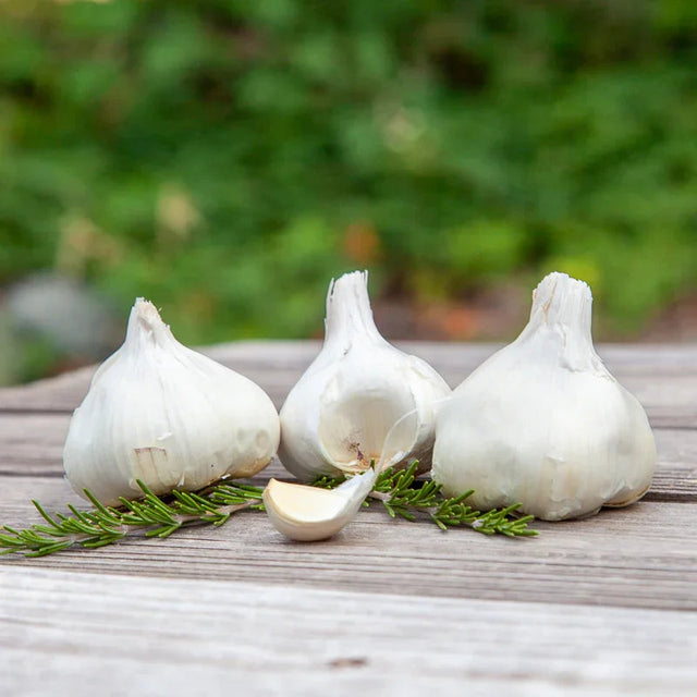 Organic Inchelium Red Garlic (lb)