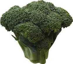  Broccoli Crown 1 ea