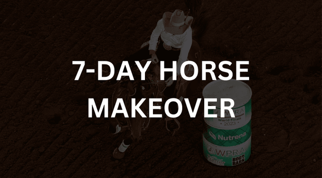 7-Day Barrel Horse Makeover
