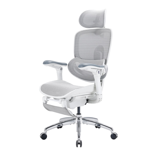 Sihoo Doro C300 Pro V2 Ergonomic Office Chair