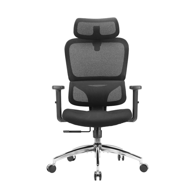 Sihoo M56C Dual-Back Ergonomic Office Chair with Soft Cushion