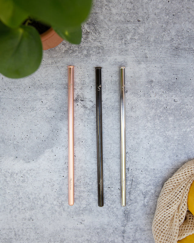 Reusable Stainless Steel Straw – Single