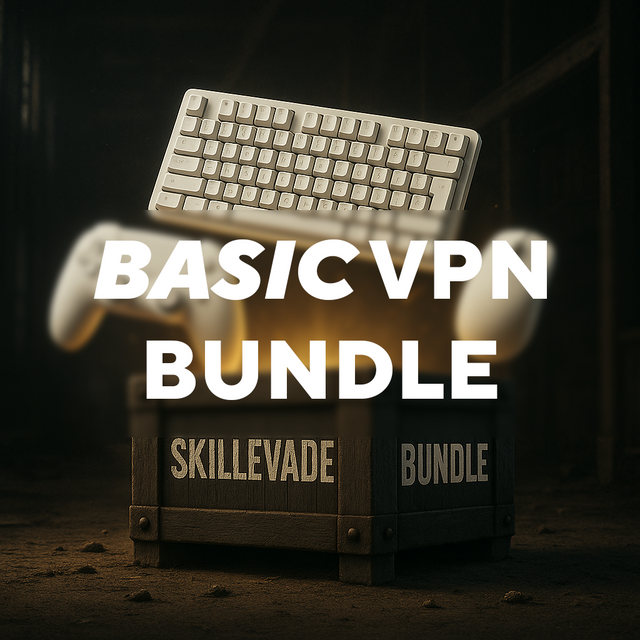 [Basic] PC + Playstation VPN Bundle