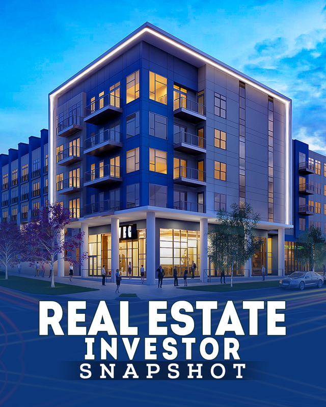 Real Estate Investor Snapshot