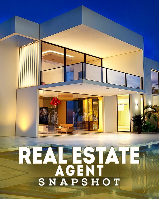 Real Estate Agent Snapshot