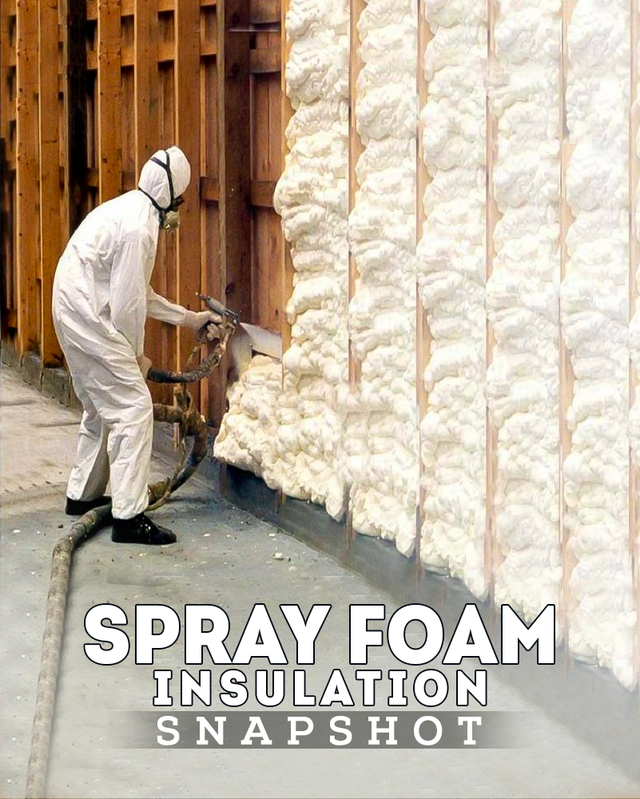 Spray Foam Insulation Snapshot