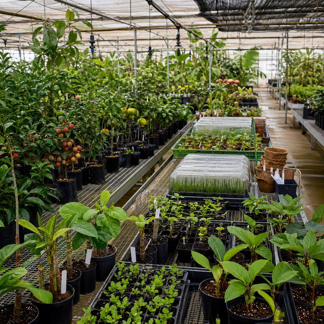 Nursery & Propagation Strategy Session