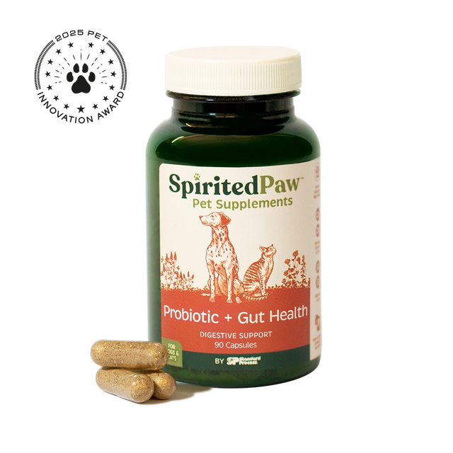 Probiotic + Gut Health