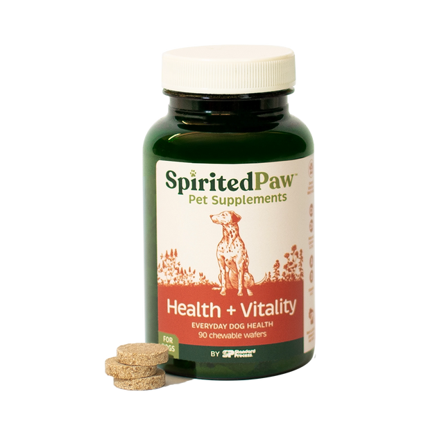 Health + Vitality