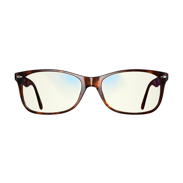 Focus Swannies Readers Classic Tortoise