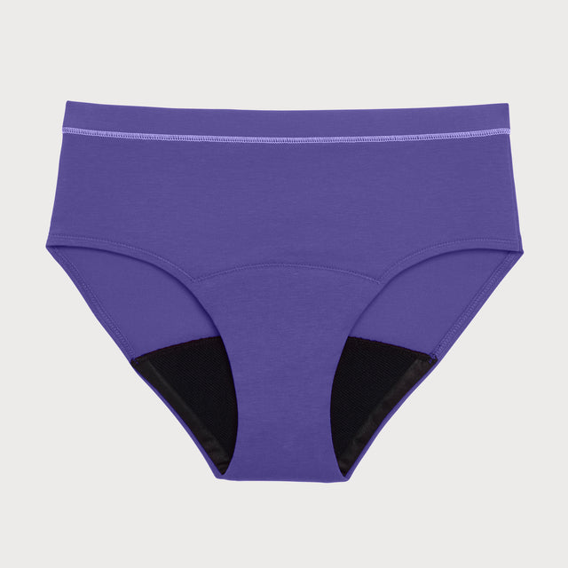 All-Day Brief