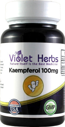 Kaempferol 100mg 60 Count Bottle
