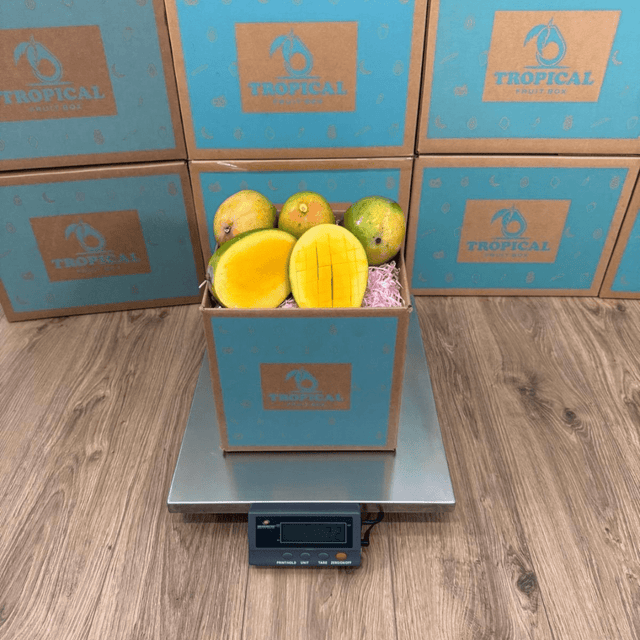 Kent Mangoes | Florida-Grown