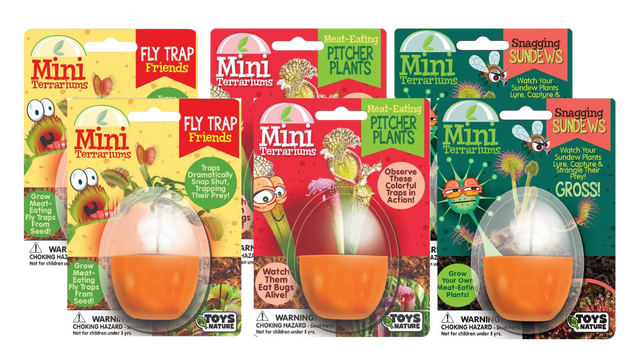 Carnivorous Mini Terrarium Bundle - 2 Each of 3 Varieties