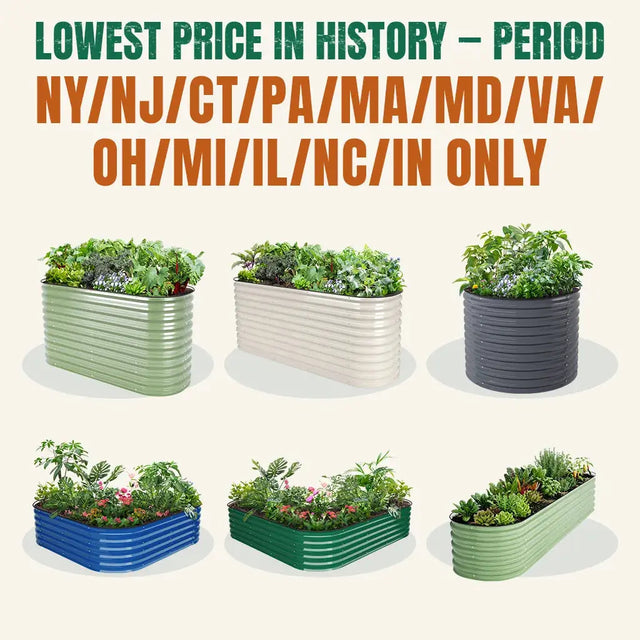 【NY/NJ/CT/PA/MA/MD/VA/OH/MI/IL/NC/IN Only】Local Stock Clearance