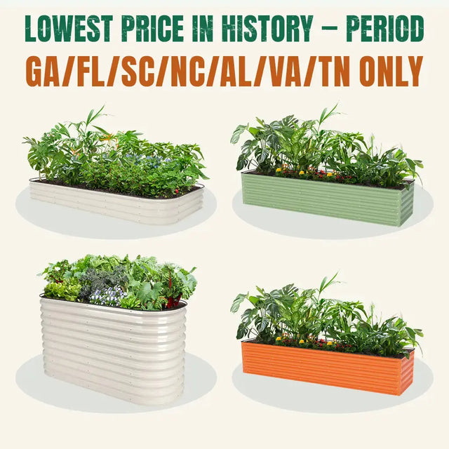 【GA/FL/SC/NC/AL/VA/TN Only】 Local Stock Clearance