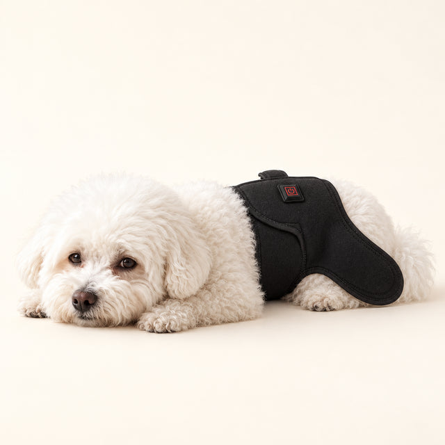 LumaWrap Red Light Pet Wrap