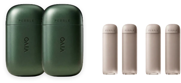 1 Pebble