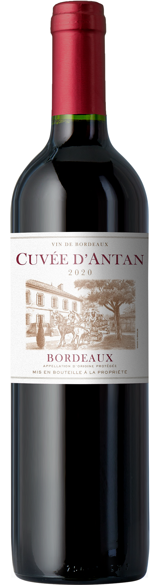 2020 Cuvée d'Antan Bordeaux Rouge