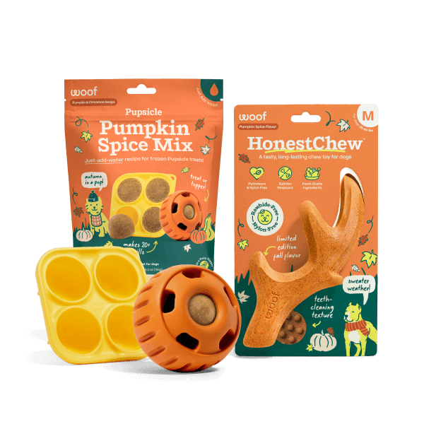 Pumpkin Spice Play Pack