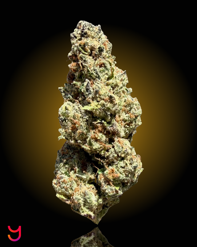 Limoncello Haze