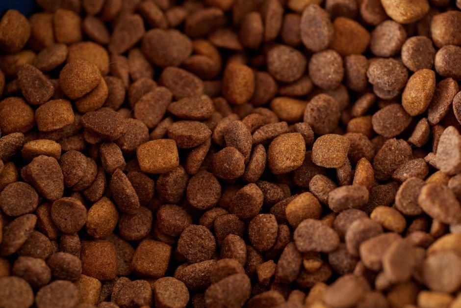 Best Dog Food Brands of 2026: Quality & Value Compared