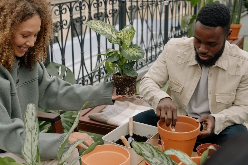 Best garden tools for balconies and small spaces