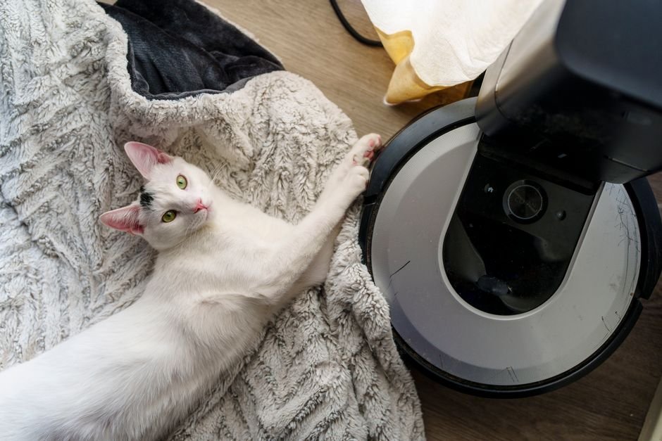 Robot vacuums for pet hair and allergies: buying guide