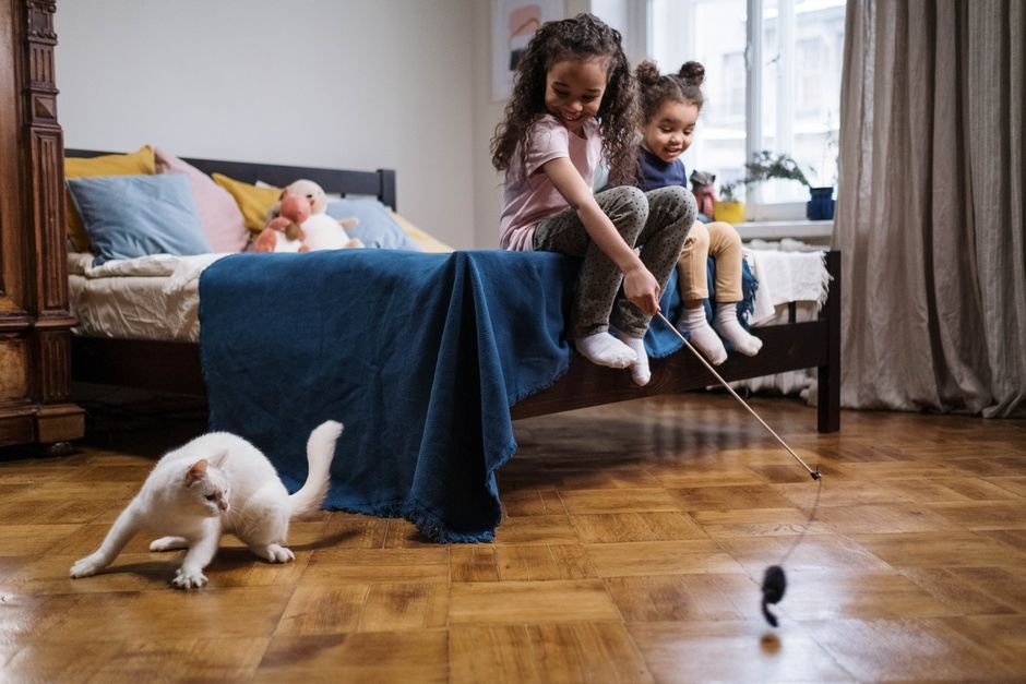 Best Interactive Cat Toys Worth Buying in 2026