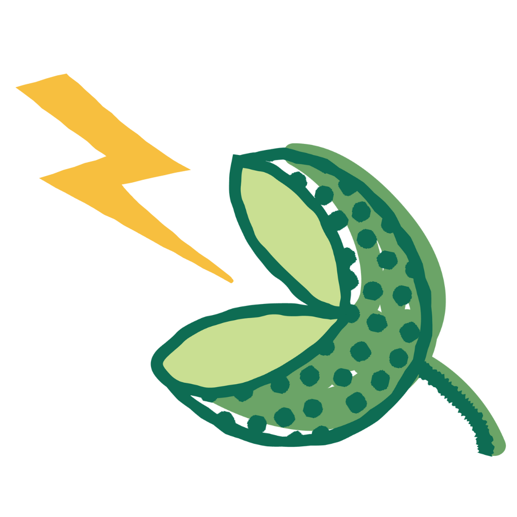 50Hertz Tingly Foods logo