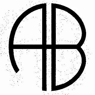 Anine Bing logo