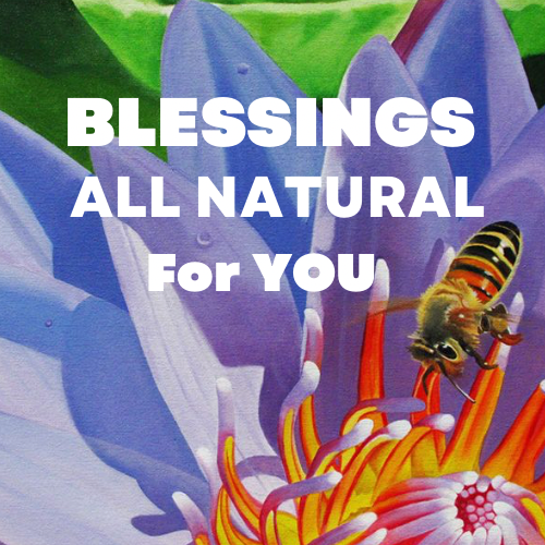Blessings All Natural Jamaica For You logo
