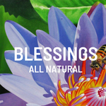 Blessings All Natural logo