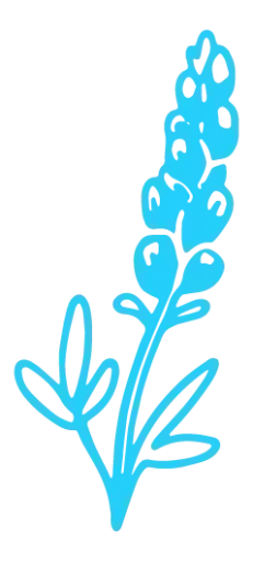 Bluebonnet Case logo