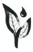 BornTea logo