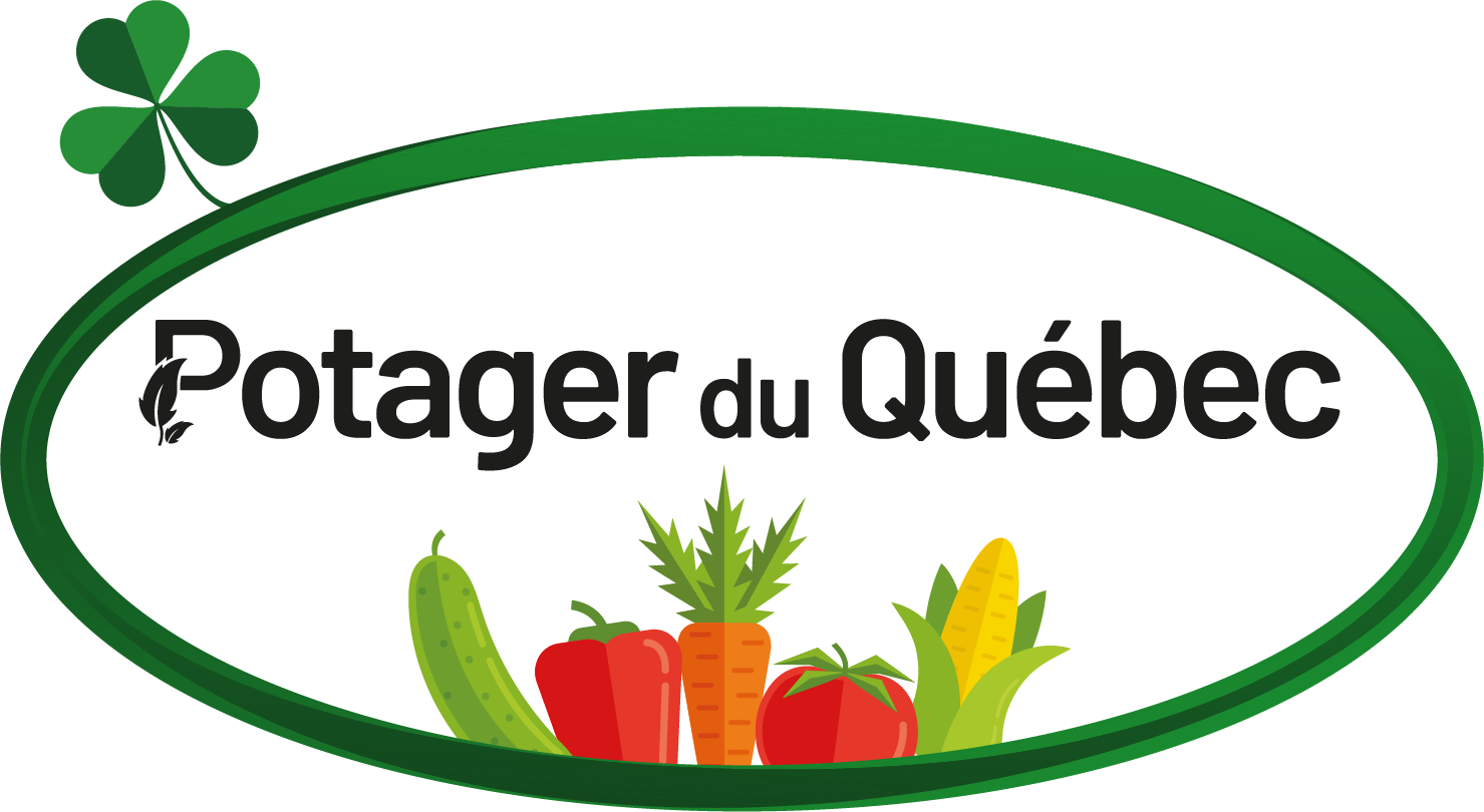 Boutique logo