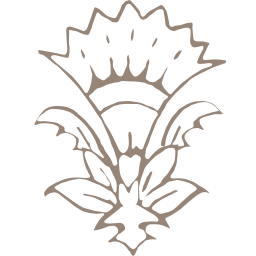 Cleobella logo