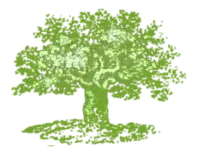 CRANN logo